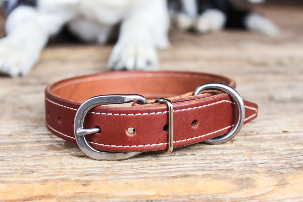 Full Grain Leather Working Dog Collar (Brown)